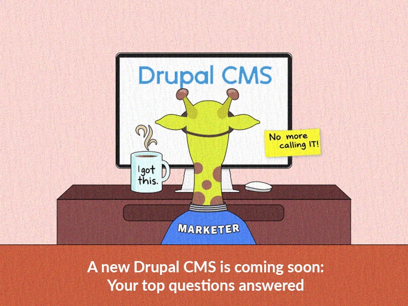 drupal cms