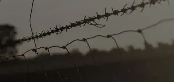 banner image