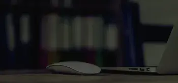 banner image