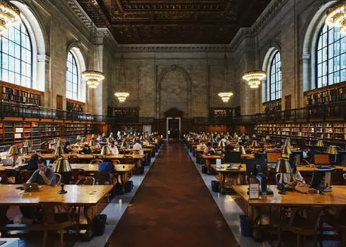 Guiding Higher Education
