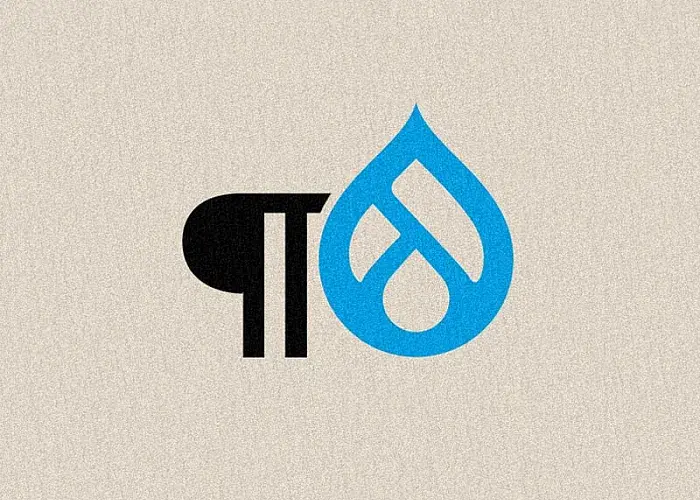 drupal paragraphs module teaser