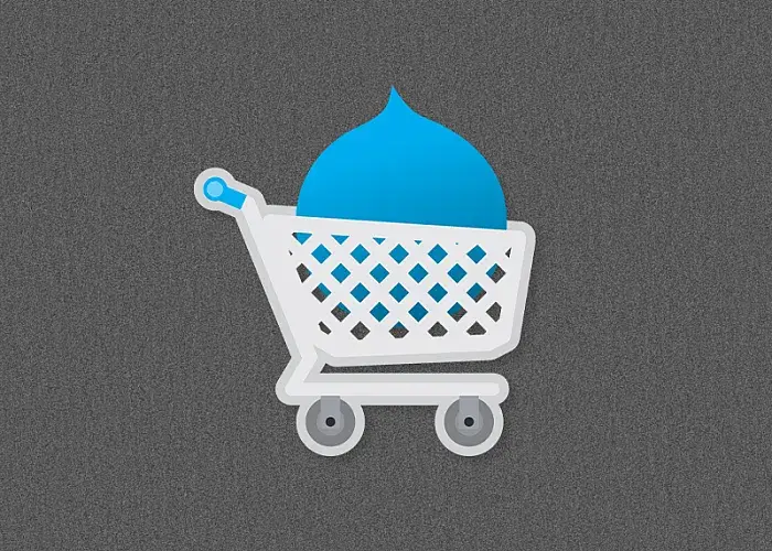 E-Commerce Revenue Success with Drupal