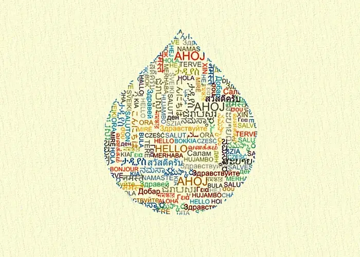 drupal translation module teaser
