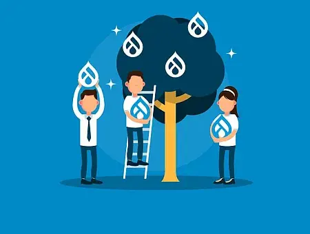 Drupal Contribution